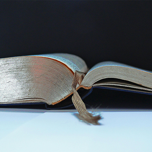 Bild_11_500x500 WEBp.webp