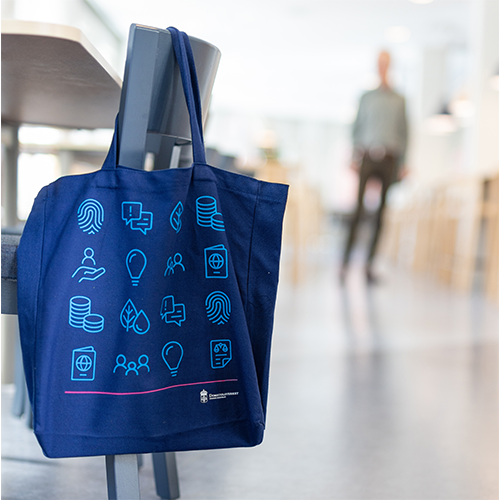 Bild_2 500x500 WEBp.webp